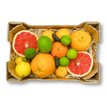 Citrus Selection Box | Exotic Fruits - Rare & Tropical Exotic Fruit Shop UK